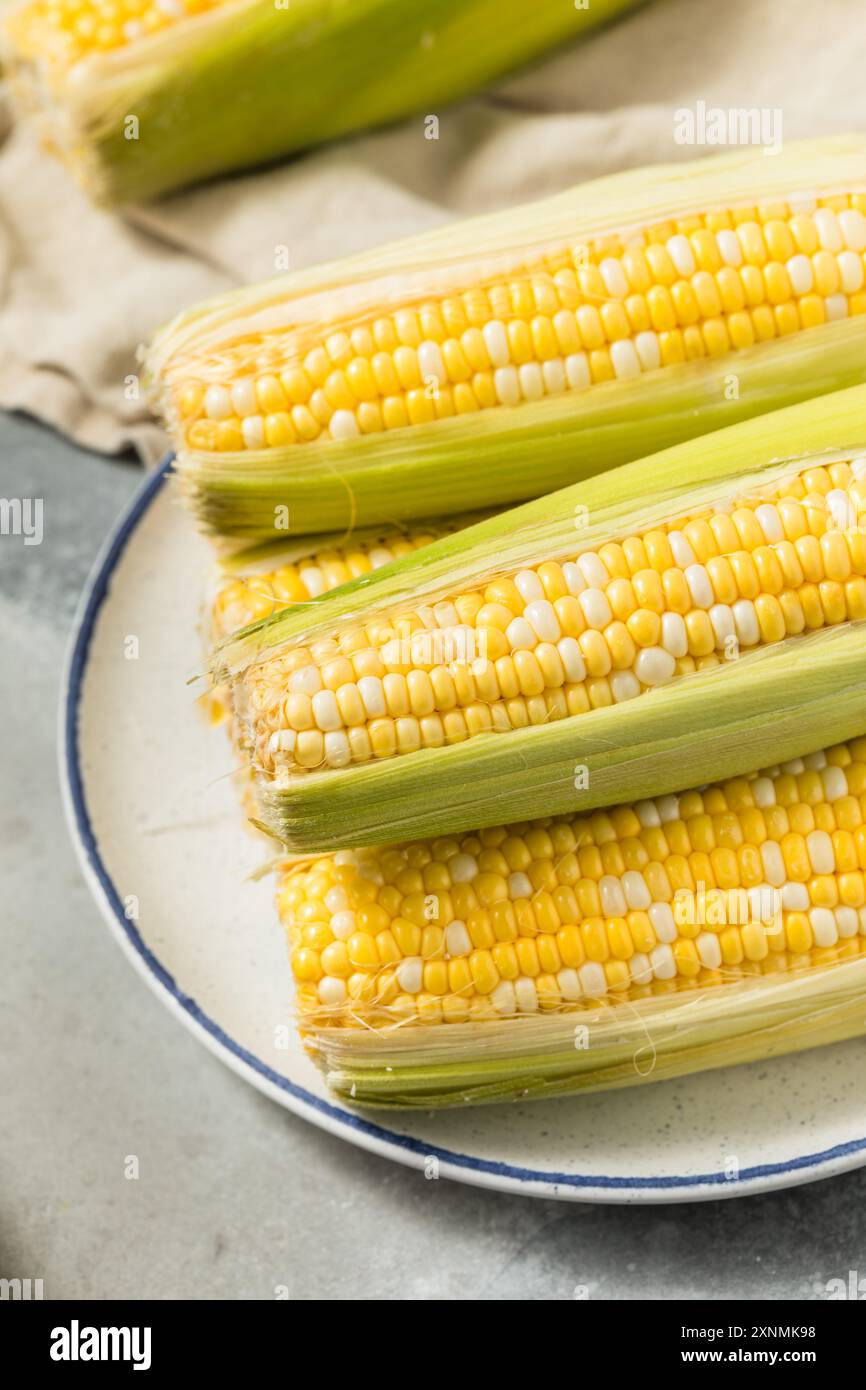 Multi Colored Sweet Corn on the Cob Ready to Cook Stock Photo - Alamy