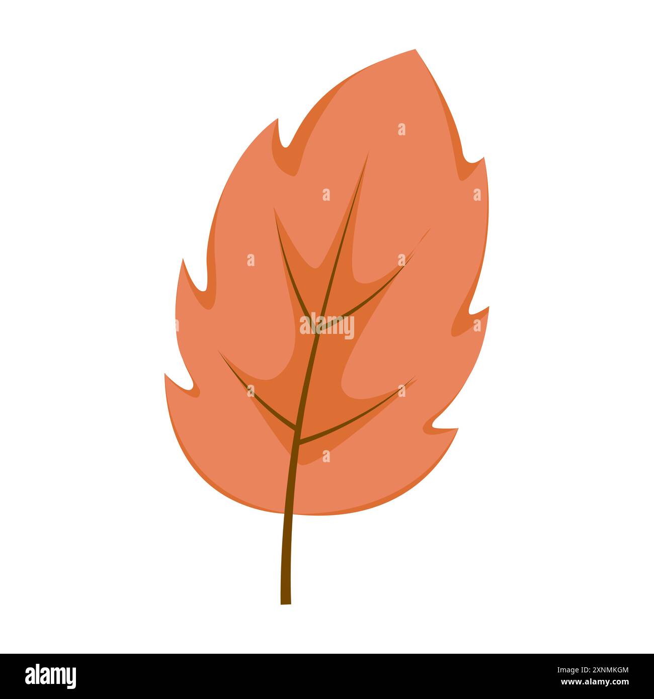 autumn leaf isolated on white background Stock Vector Image & Art - Alamy