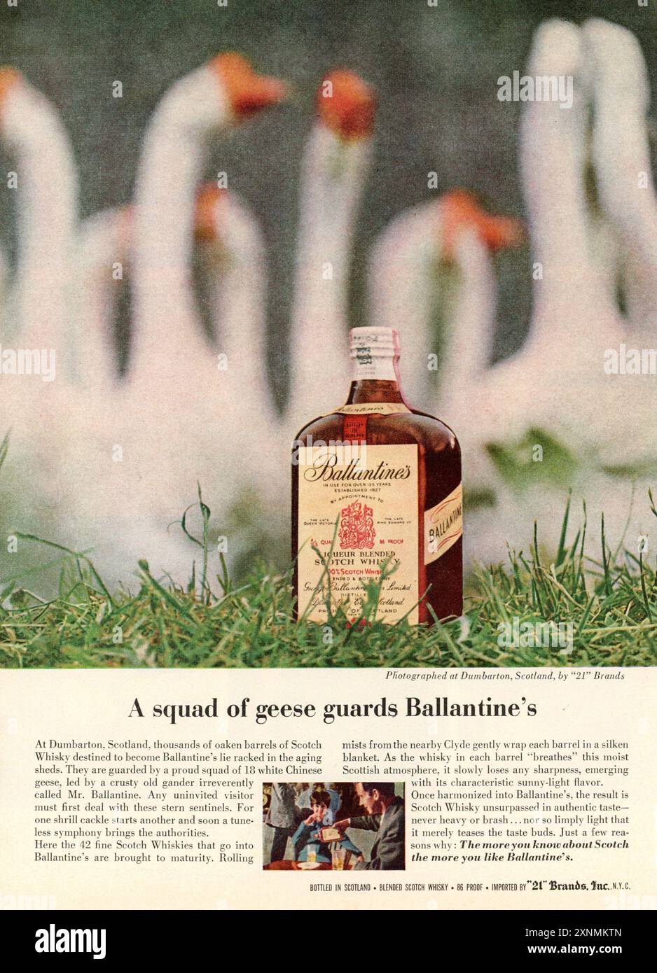 Ballantines hi-res stock photography and images - Page 3 - Alamy