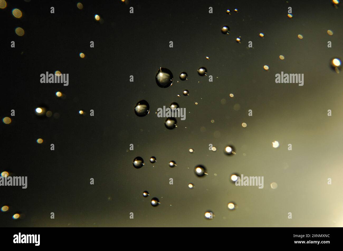 Water drops of different sizes, forming different backgrounds Stock ...
