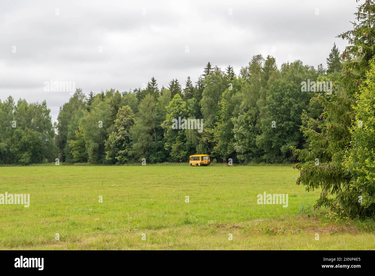 rusty old blue bus standing in the woods Stock Photo - Alamy