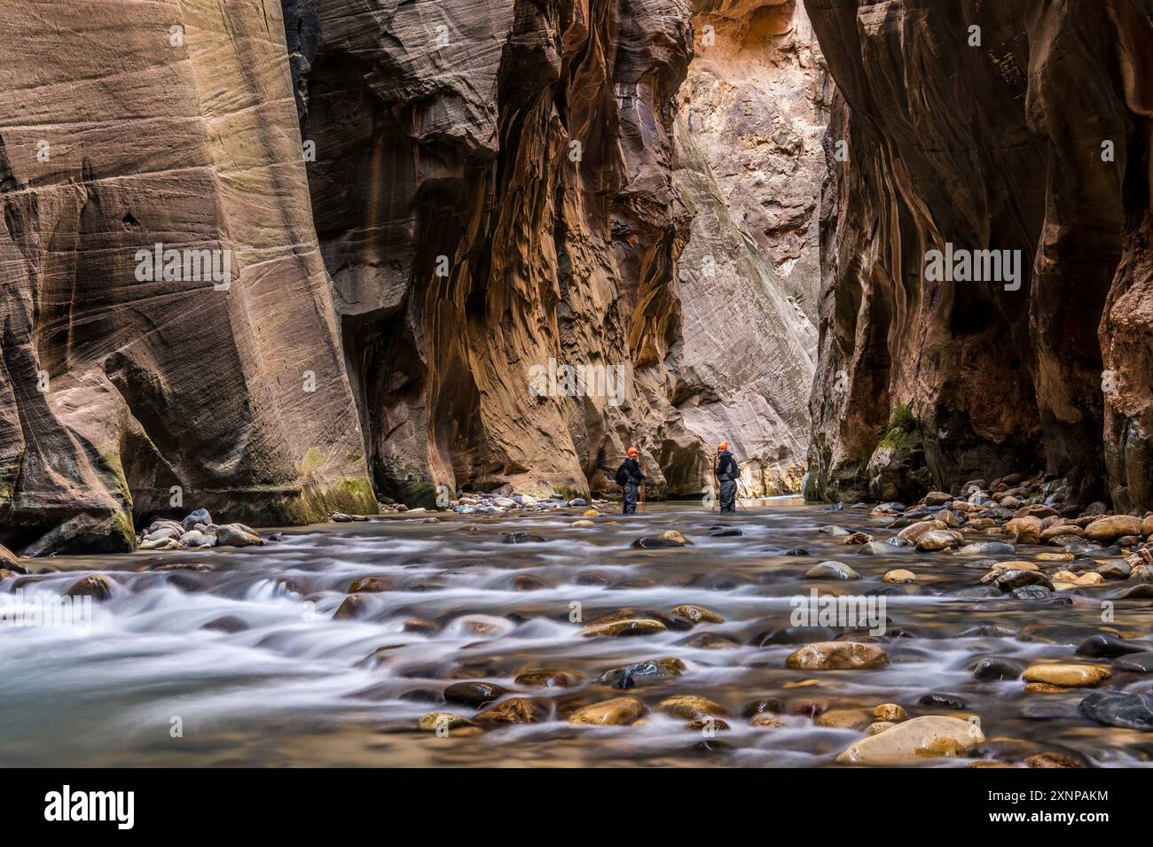Wall Street, The Narrows, Zion National Park, Utah Stock Photo