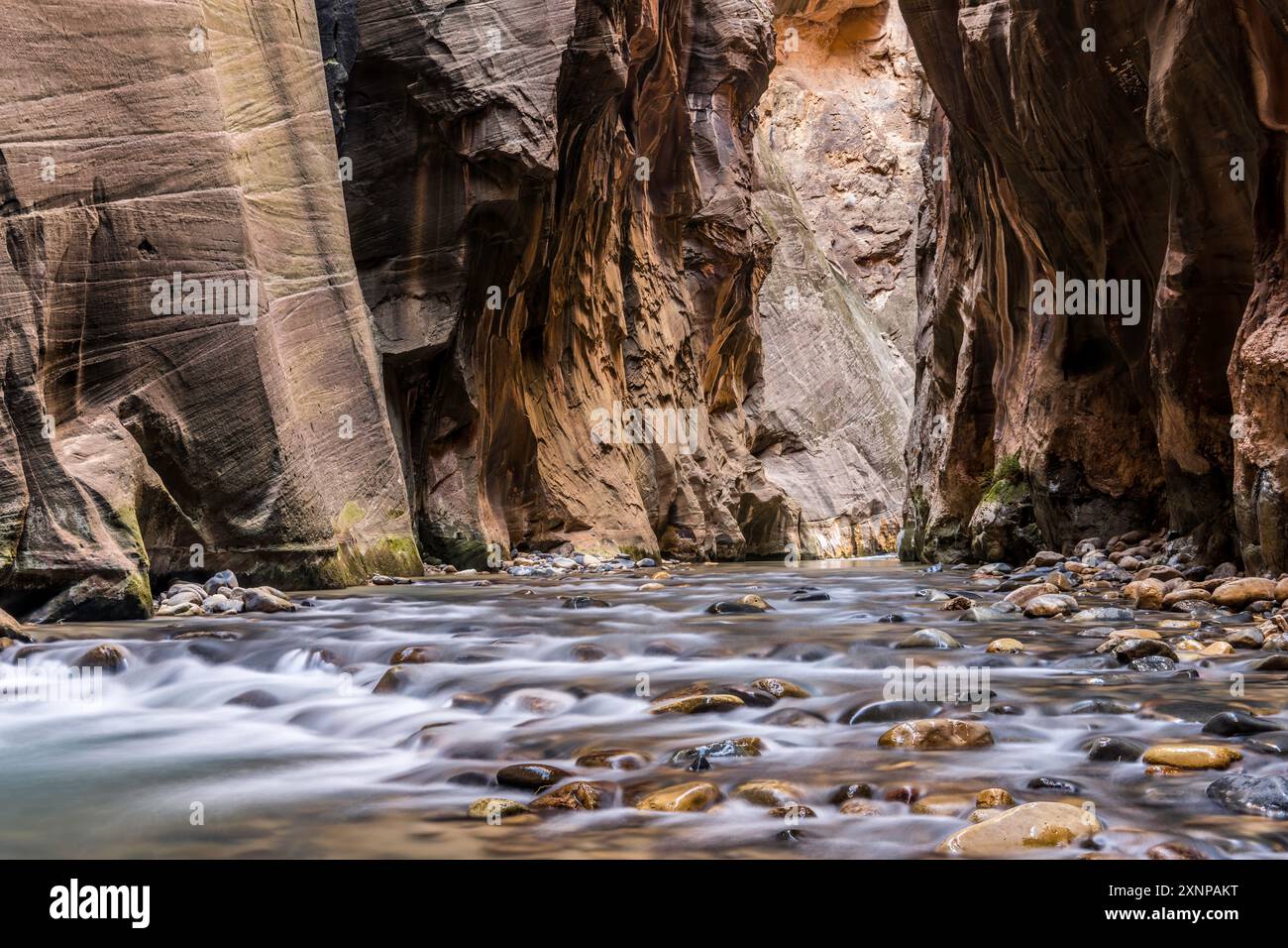 Wall Street, The Narrows, Zion National Park, Utah Stock Photo