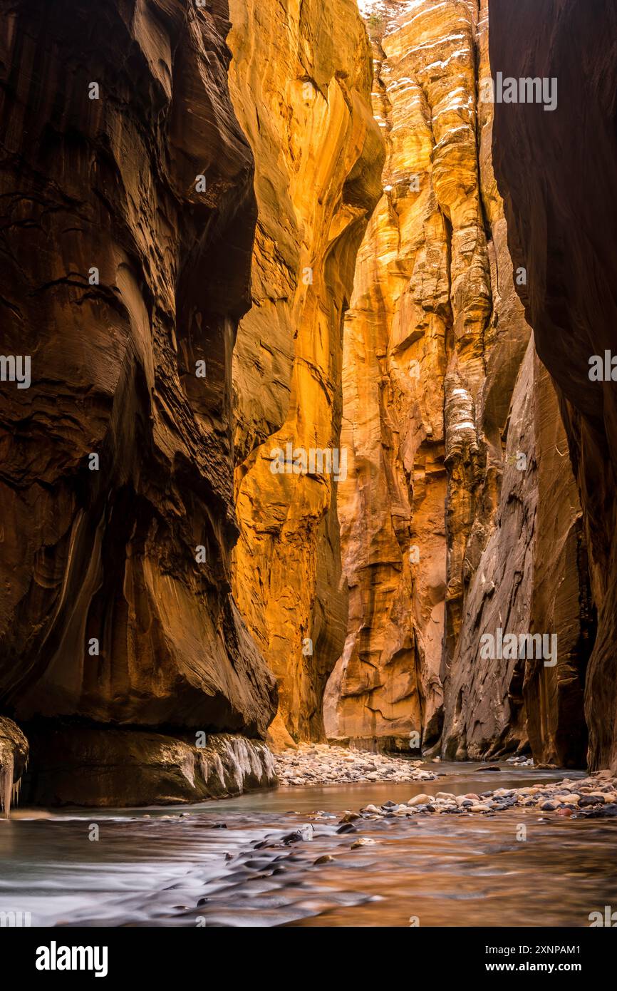 Wall Street, The Narrows, Zion National Park, Utah Stock Photo