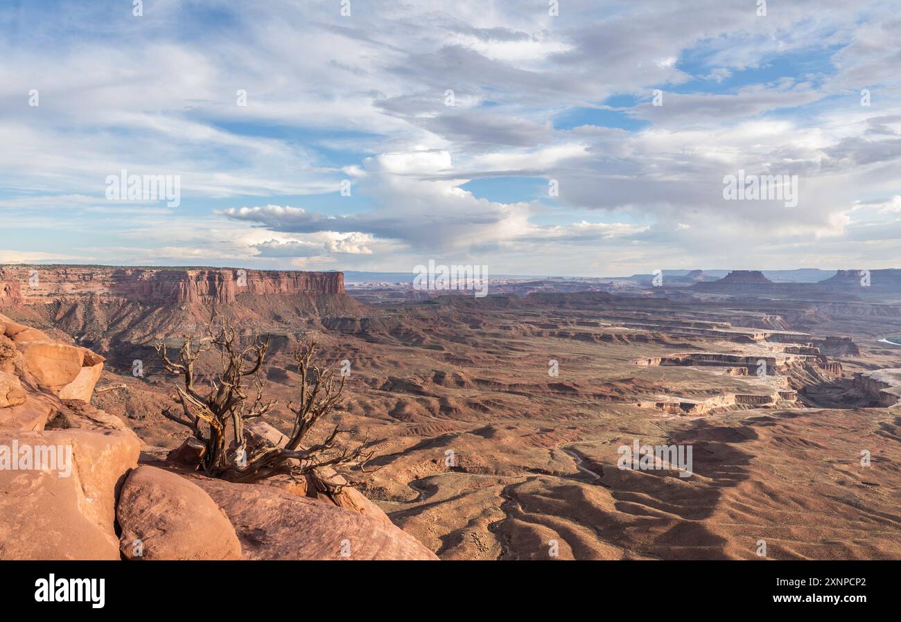Green River Overlook, Canyonlands National Park, Utah, USA Stock Photo