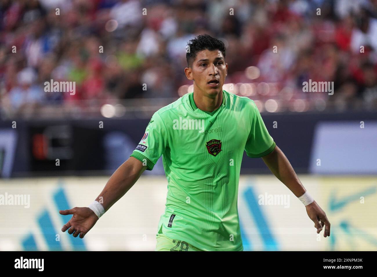 Zaldivar hi-res stock photography and images - Alamy