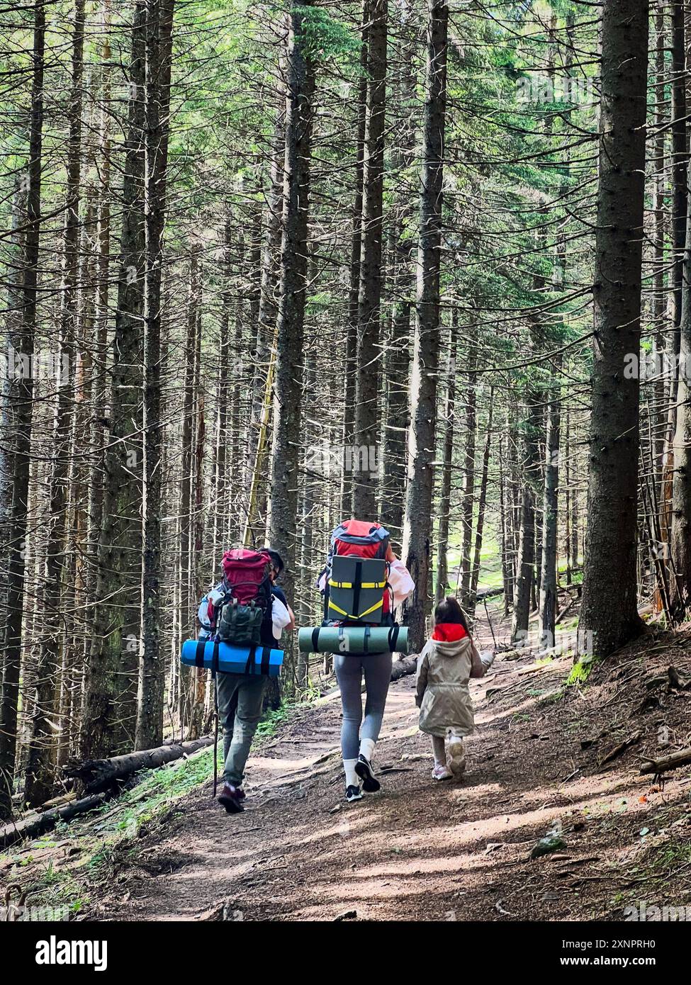 Back view of family of three, with two adults carrying large backpacks ...