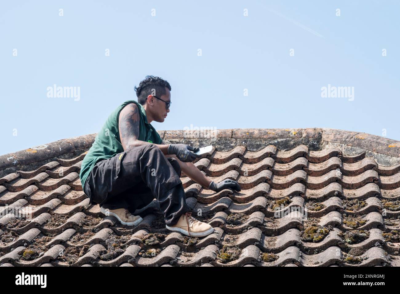 Man clearing moss from a tiled roof. Stock Photo