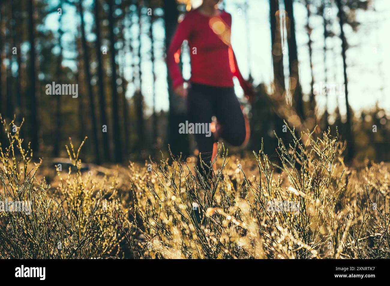 Basic Workout - Woman running off-trail in Nordic forest Stock Photo