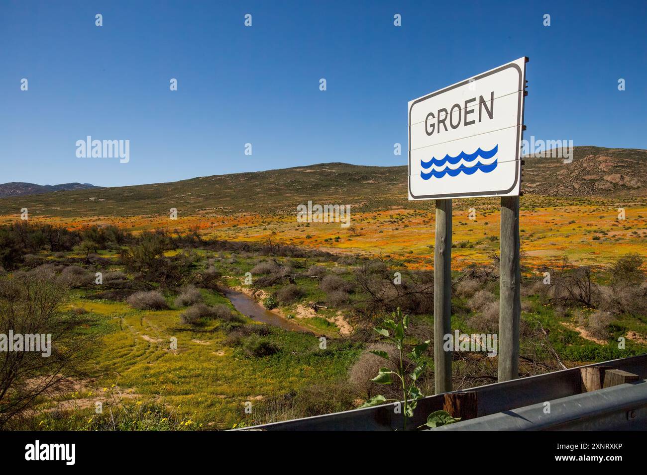 Seasonal Green river (Groenrivier) at Garies in Namaqualand on N7 amidst masses of wild flowers. Stock Photo