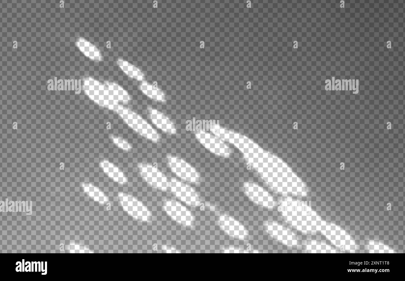 Abstract shadow overlay with natural light and sunbeams on the wall ...