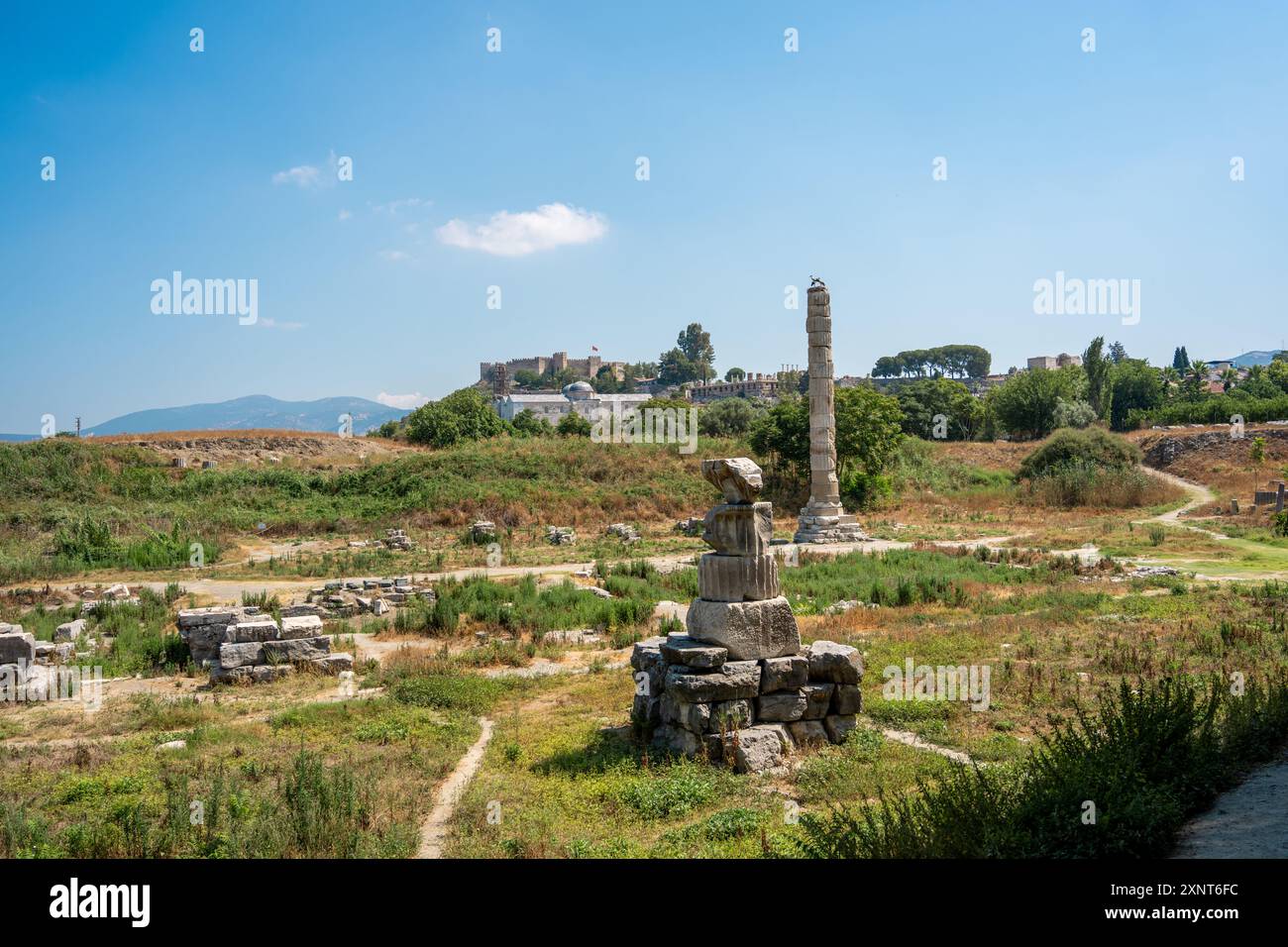 The ruins of the Temple of Artemis, located in the Selçuk district of ...