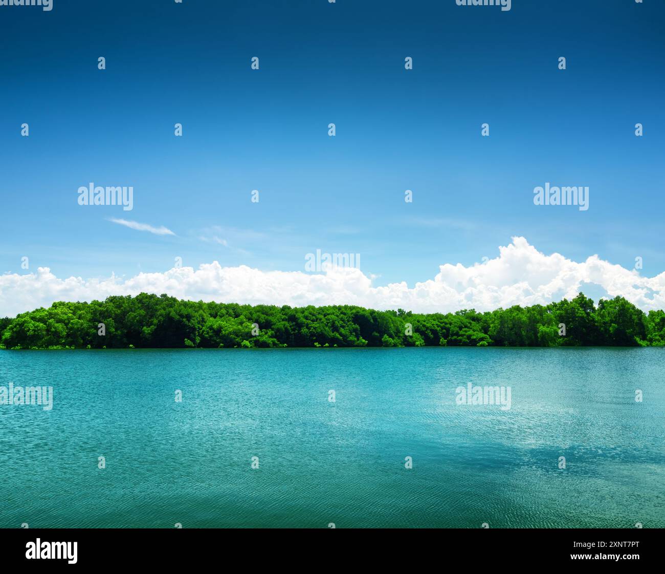 Blue sky with blue pond water hi-res stock photography and images - Alamy