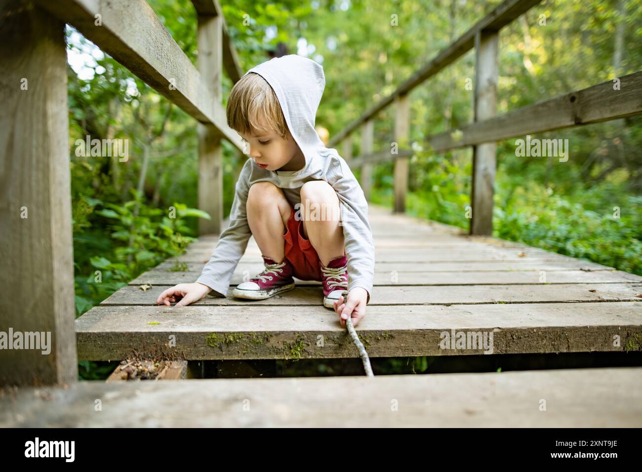 Toddler boy exploring in beautiful mixed pine and deciduous forest of Estonia. Beauty of Baltic nature. Stock Photo