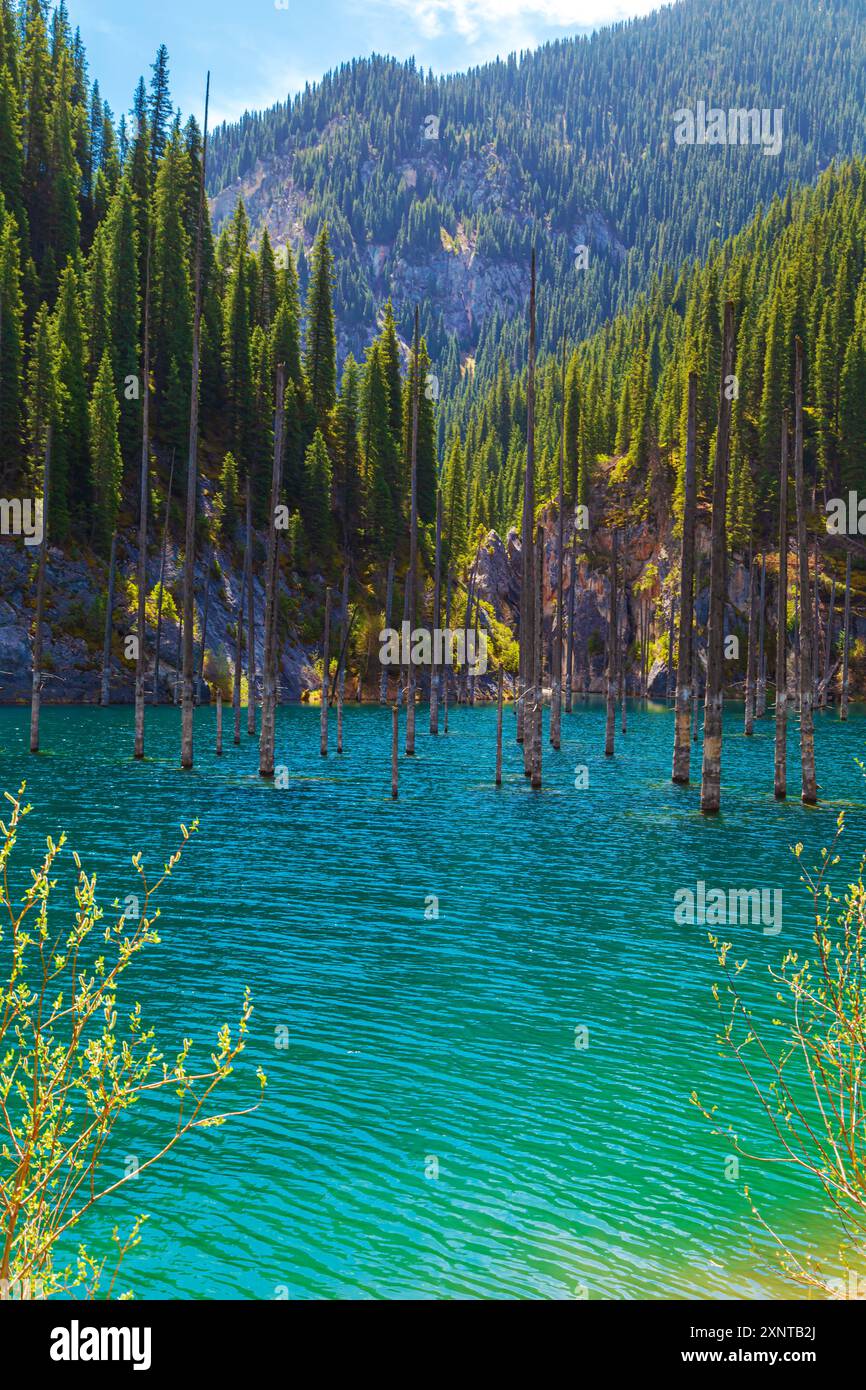 sunken-forest-in-the-mountain-lake-kaindy-in-kazakhstan-beautiful
