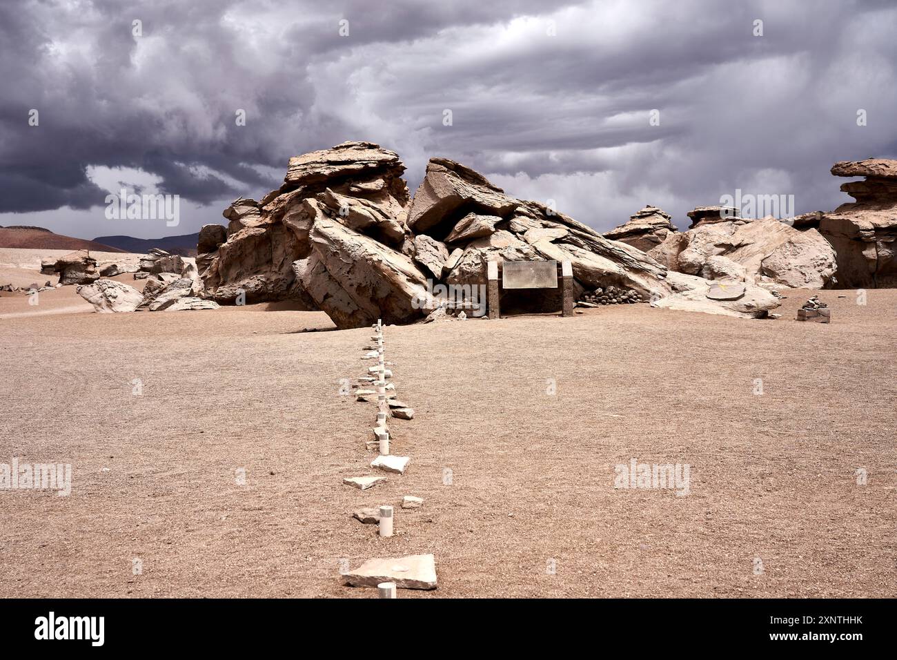 Harsh desert environment hi-res stock photography and images - Alamy