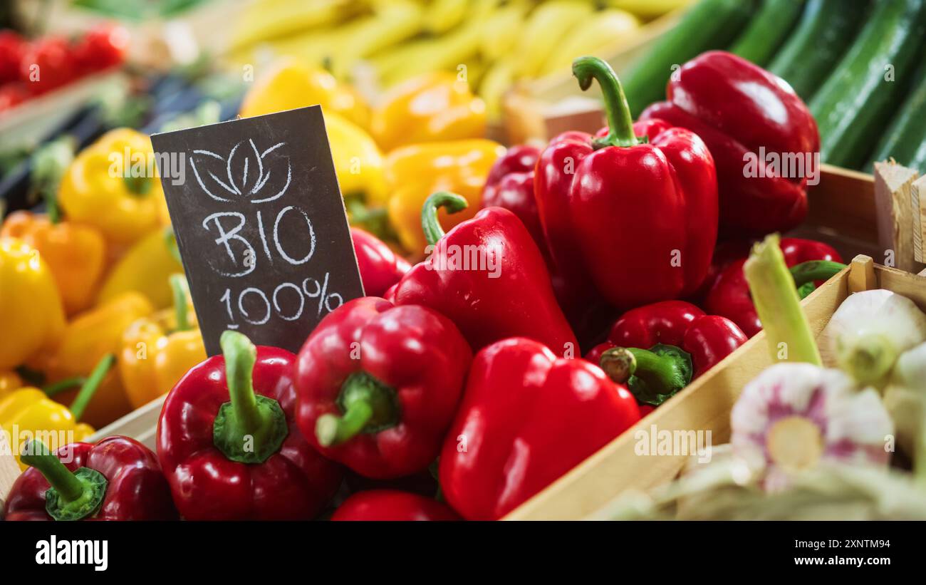 100 Bio Sign on a Food Stall with Fresh Red and Yellow Organic Sweet Bell Peppers from a Local Farm. Outdoors Farmers Market with Organic Fruits and Vegetables Without GMO Additives Stock Photo