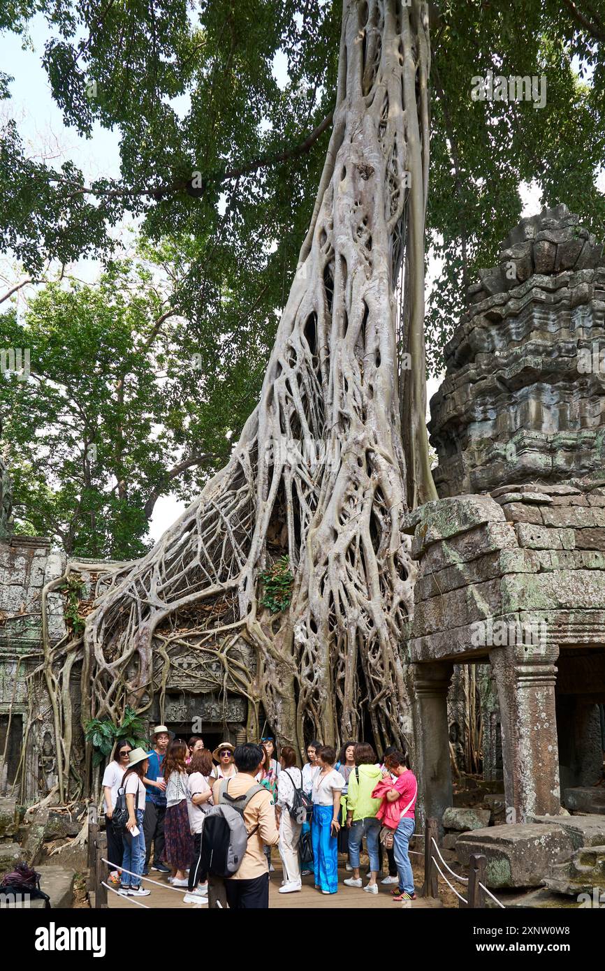 Group of tourists visiting the historic Angkor Thom temple complex ...