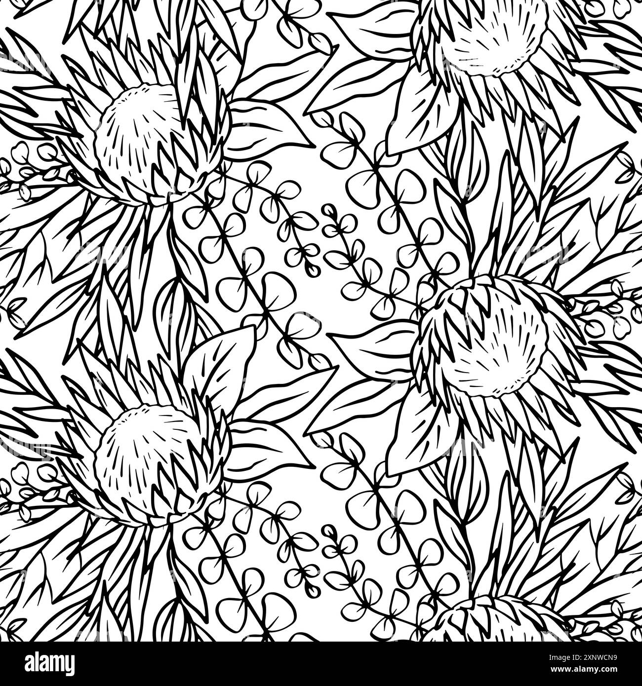 Black and white seamless pattern with line art protea flowers Stock ...