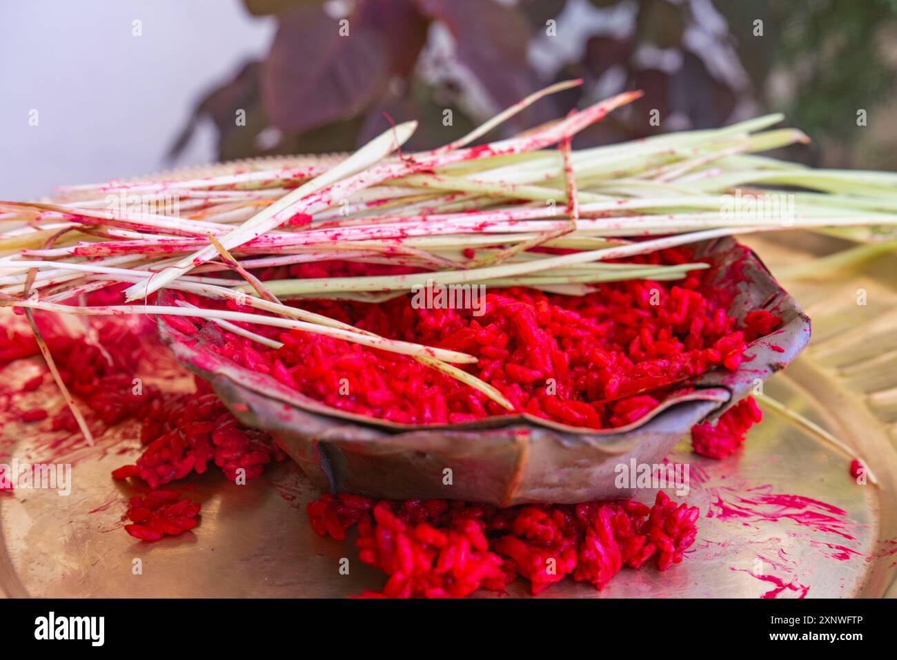 Tika Thali Dashain Hindu Festival Celebration Durga Puja with kalash ...