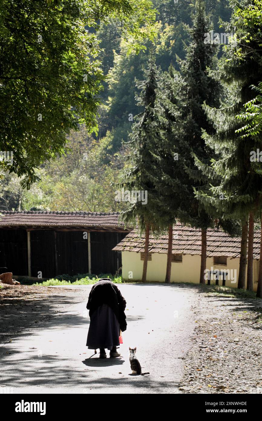 a hundred-year-old woman walks slowly, bent over on her cane, Vracevsnica Monastery, Gornji Milanovac, central Serbia (2) Stock Photo