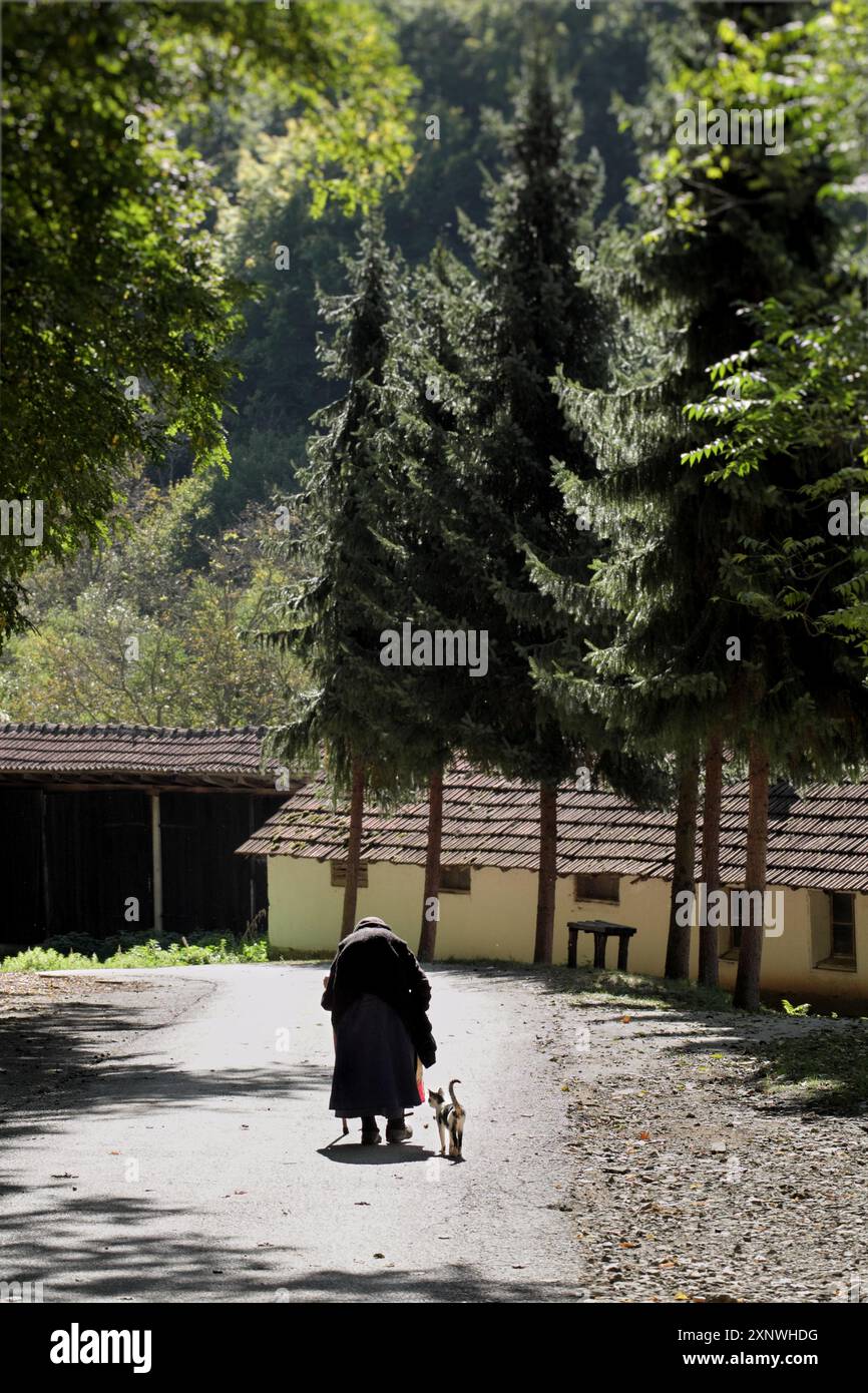 a hundred-year-old woman walks slowly, bent over on her cane, Vracevsnica Monastery, Gornji Milanovac, central Serbia (2) Stock Photo