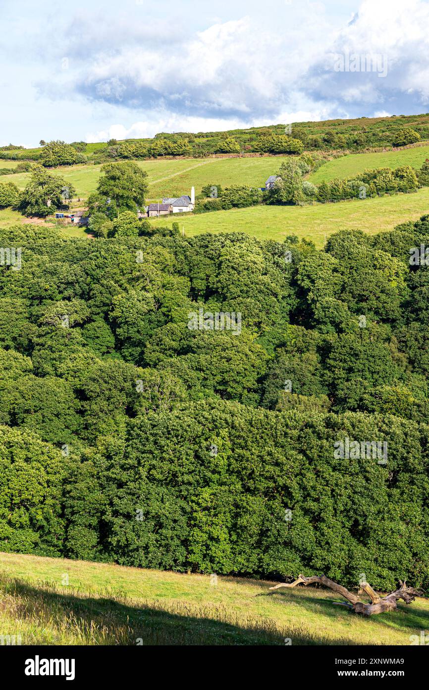 The tiny, remote farm & church at Stoke Pero (the highest church on Exmoor), Somerset UK - viewed across the wooded valley from Wilmersham Stock Photo