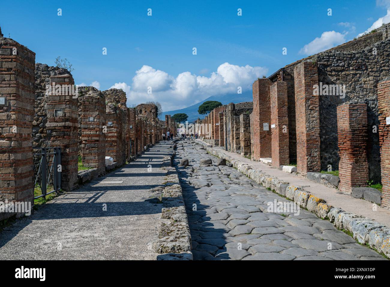Pompeii, UNESCO World Heritage Site, Campania, Italy, Europe Stock Photo