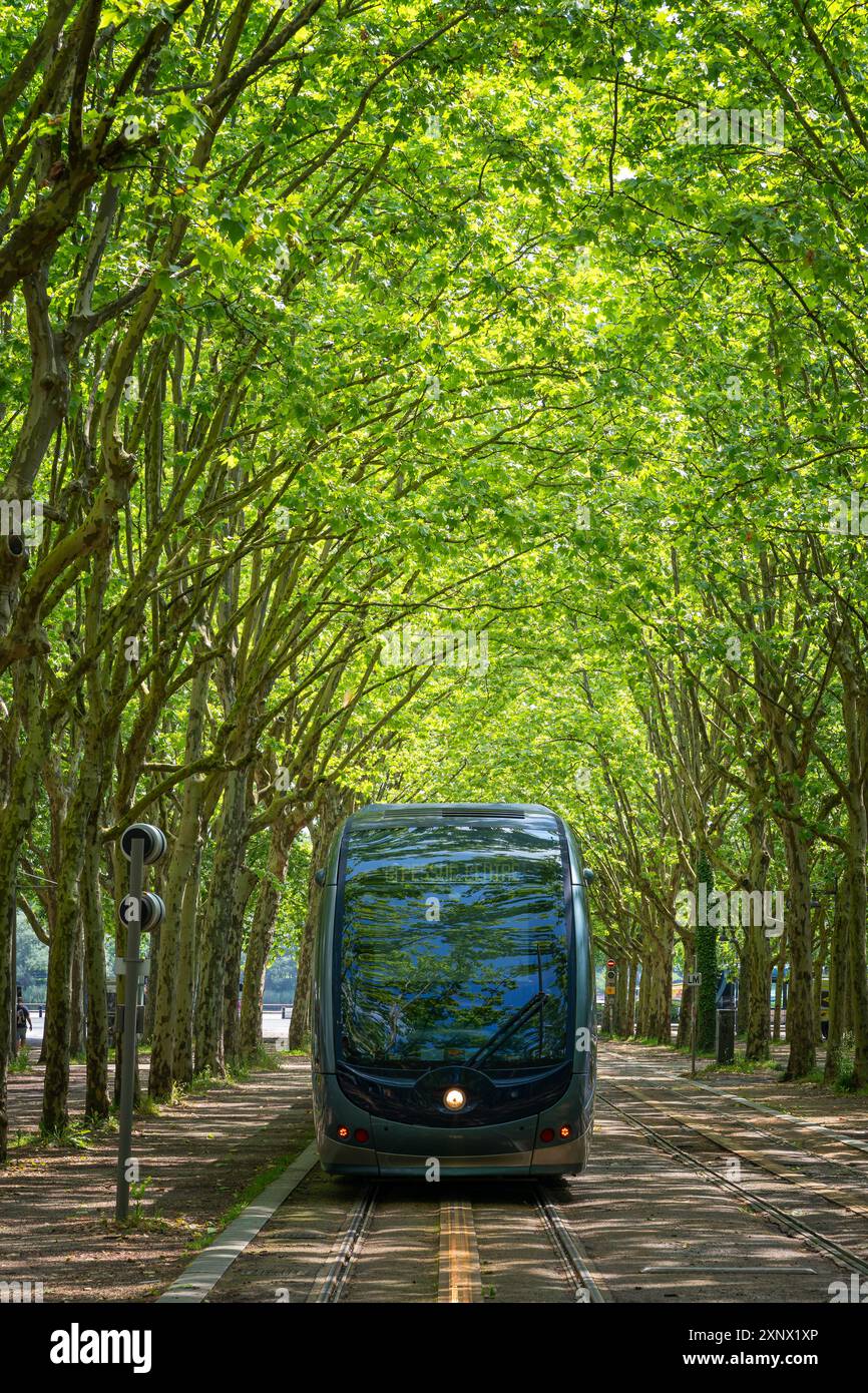 Tram under the trees, Bordeaux, Gironde, Aquitaine, France, Europe Stock Photo