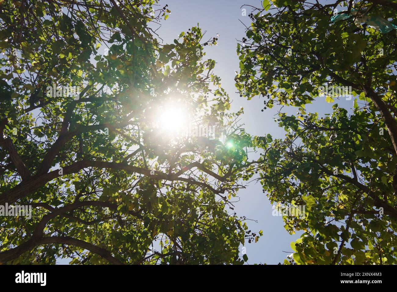 Radient Sun Rays View suns radiant beams hi-res stock photography and images - Alamy