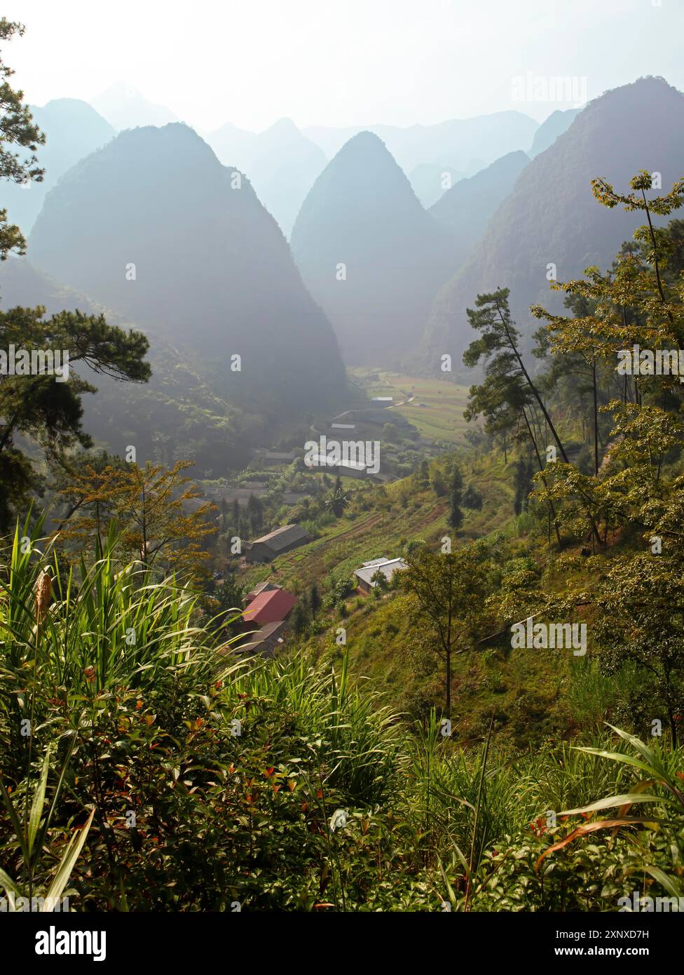 Karst rocks in the Dong Van Karst Plateau UNESCO Global Geopark, Ha ...