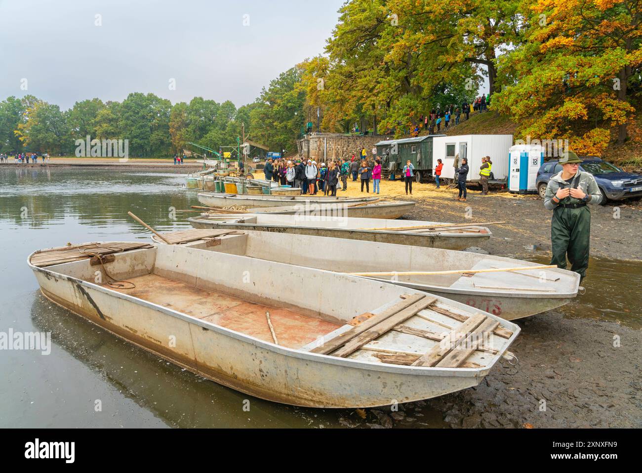 Rowing boats on shore of Rozmberk Pond during fish harvest with event ...