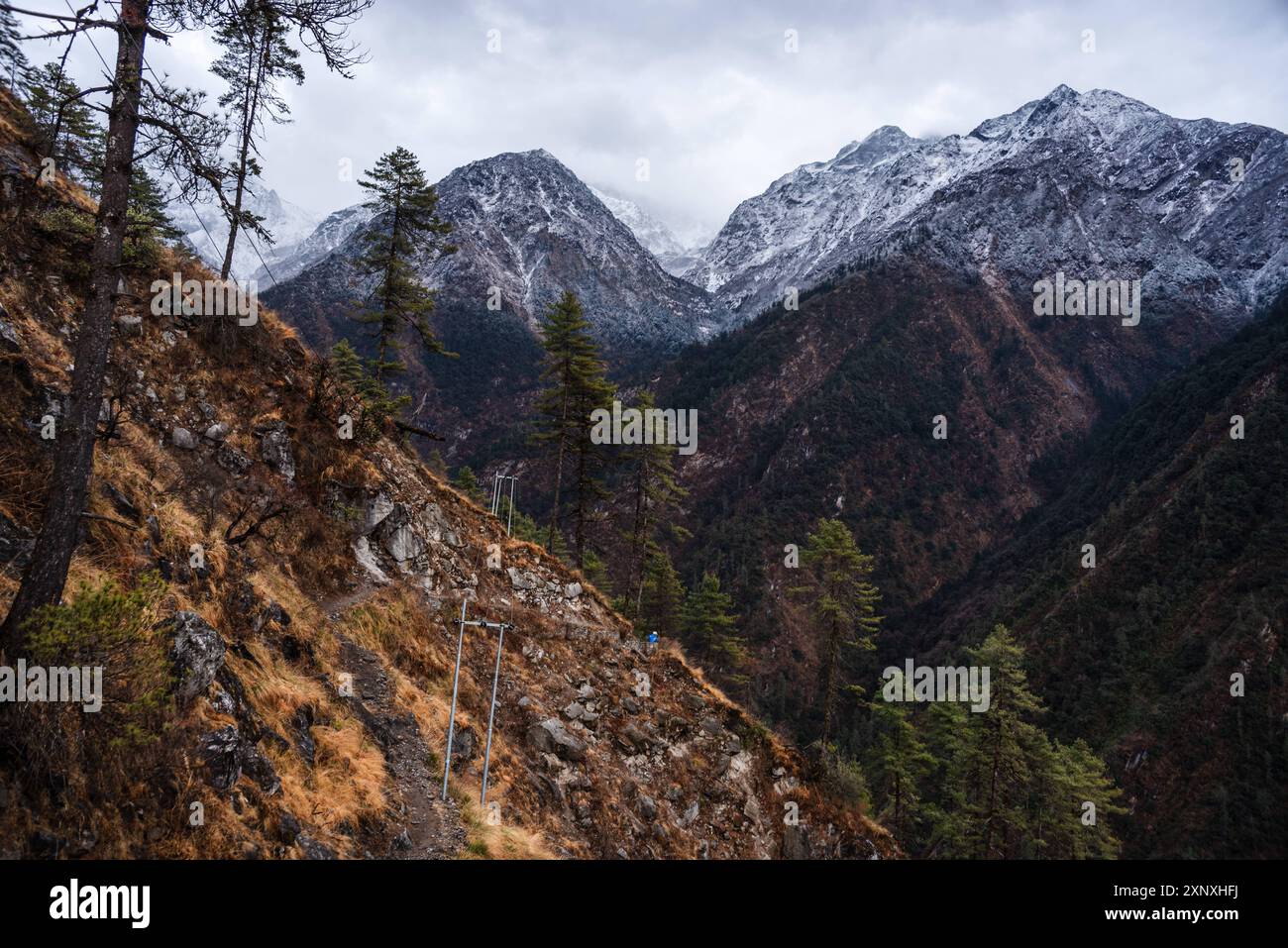 Wandern himalayas hi-res stock photography and images - Alamy
