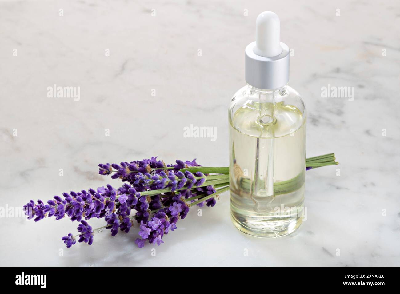 Lavender essential oil in glass bottle on marble table. Copy space Stock Photo