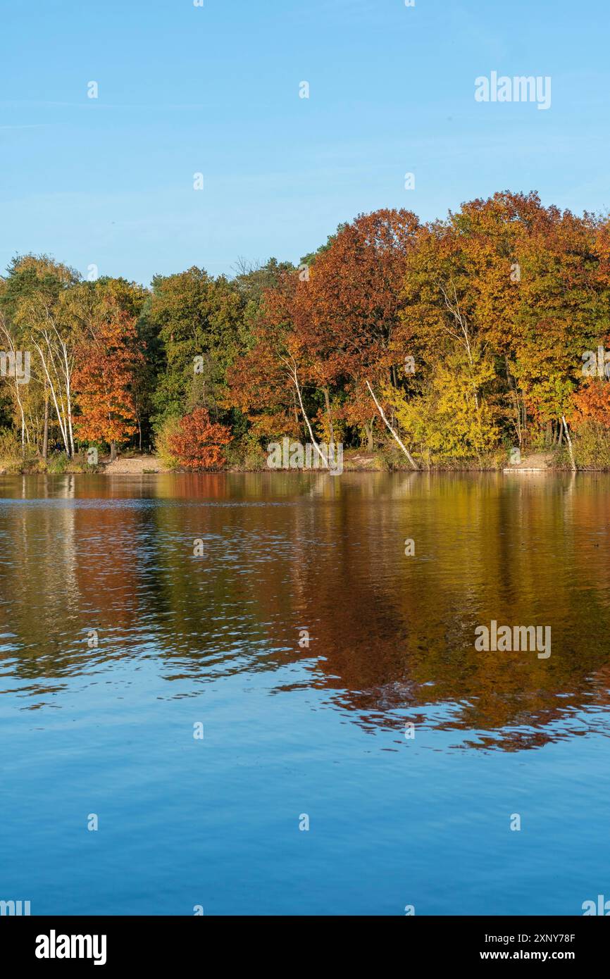 A sunny autumn day on the six lake plateau in Duisburg Stock Photo