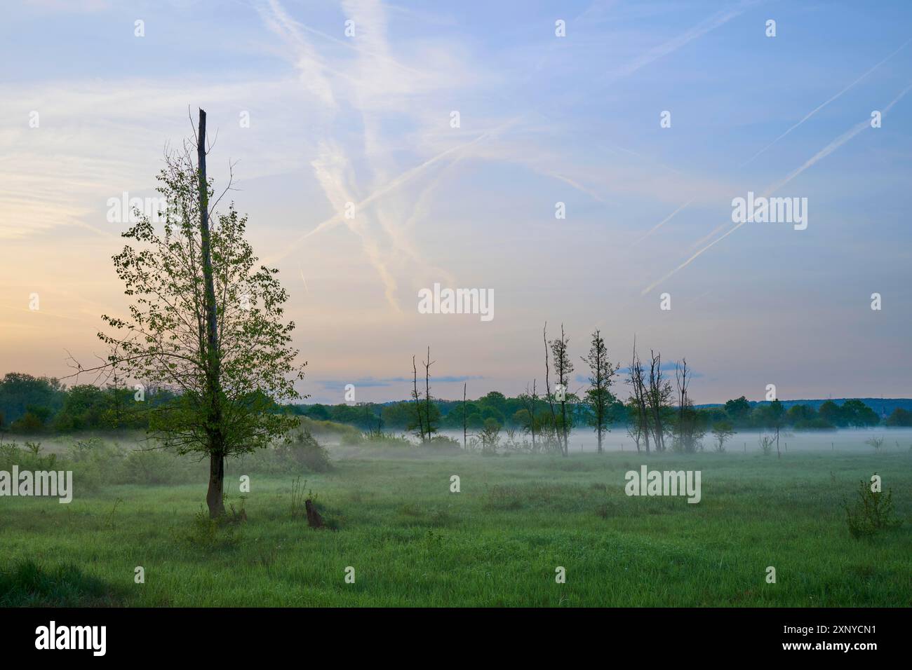 Peaceful landscape with trees hi-res stock photography and images - Alamy