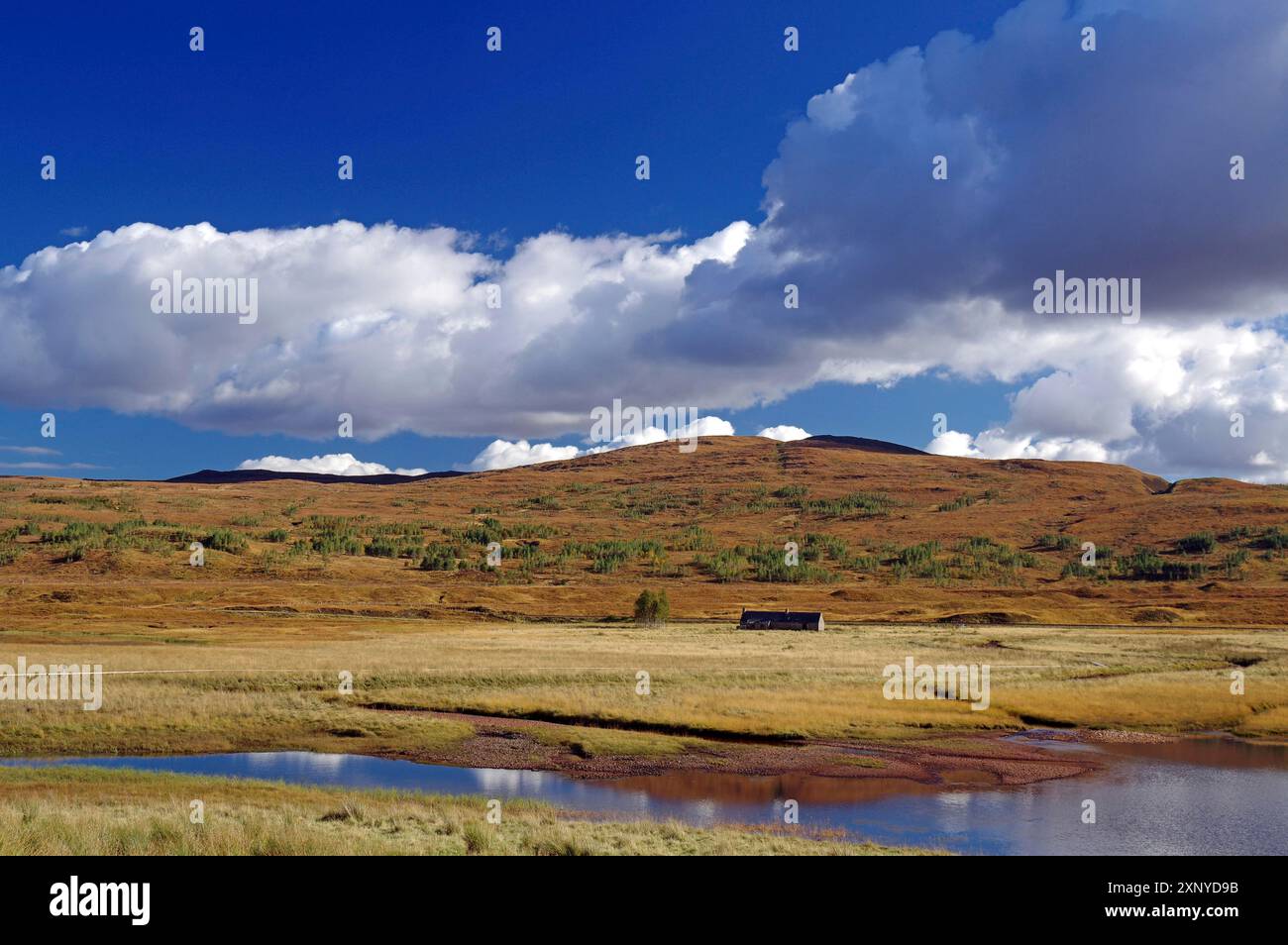 Peaceful lake surrounded by meadows and hills under a blue sky with white clouds, autumn, October, Highlands, railway line Inverness to Kyle of Stock Photo