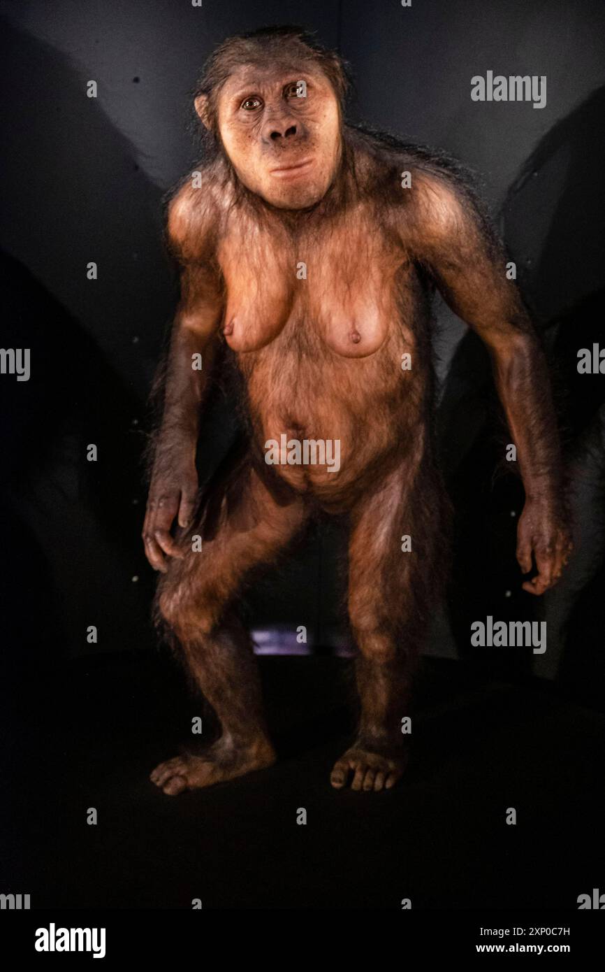 Espora - Wikipedia, la enciclopedia libre, image size:866x1390