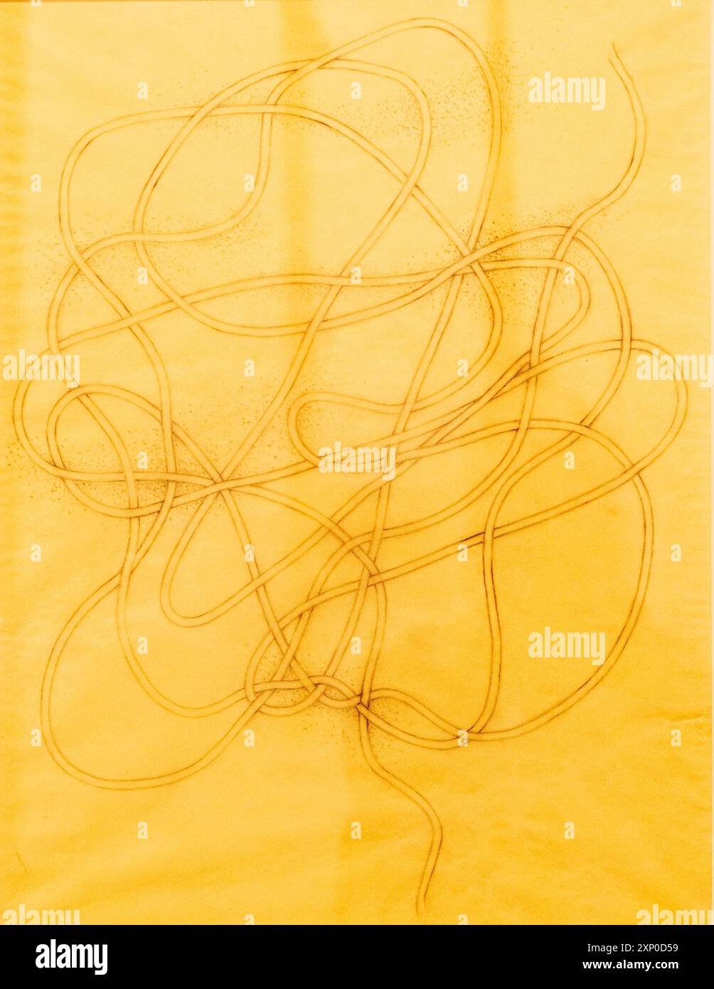 Drawning for a Knot, 1947, Anni Albers, pencil on lime paper, Bauhaus Stock Photo