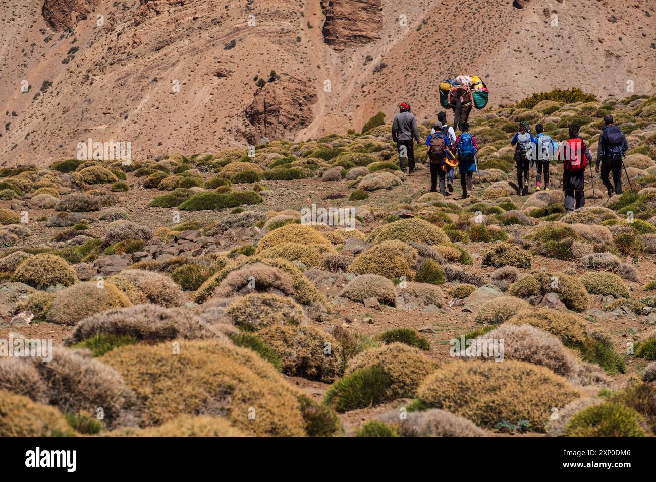 Trekking group among thorny bushes, trail to Azib Ikkis via Timaratine, MGoun trek, Atlas mountain range, morocco Stock Photo