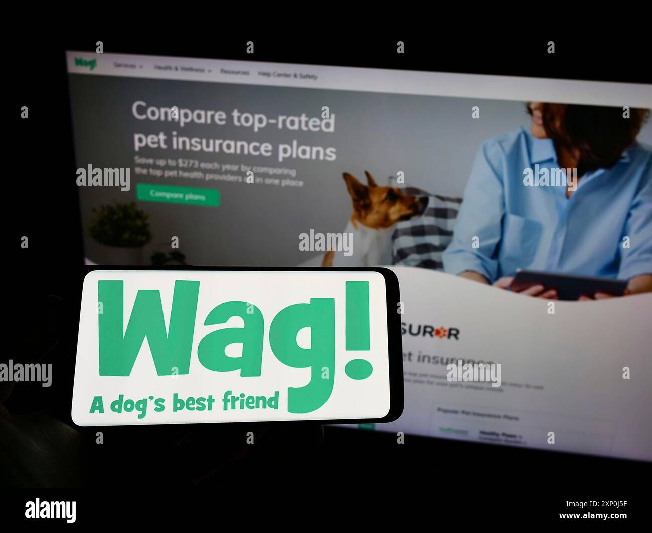 Stuttgart, Germany, 02-04-2022: Person holding cellphone with logo of US pet care company Wag Labs Inc. on screen in front of business webpage. Focus Stock Photo