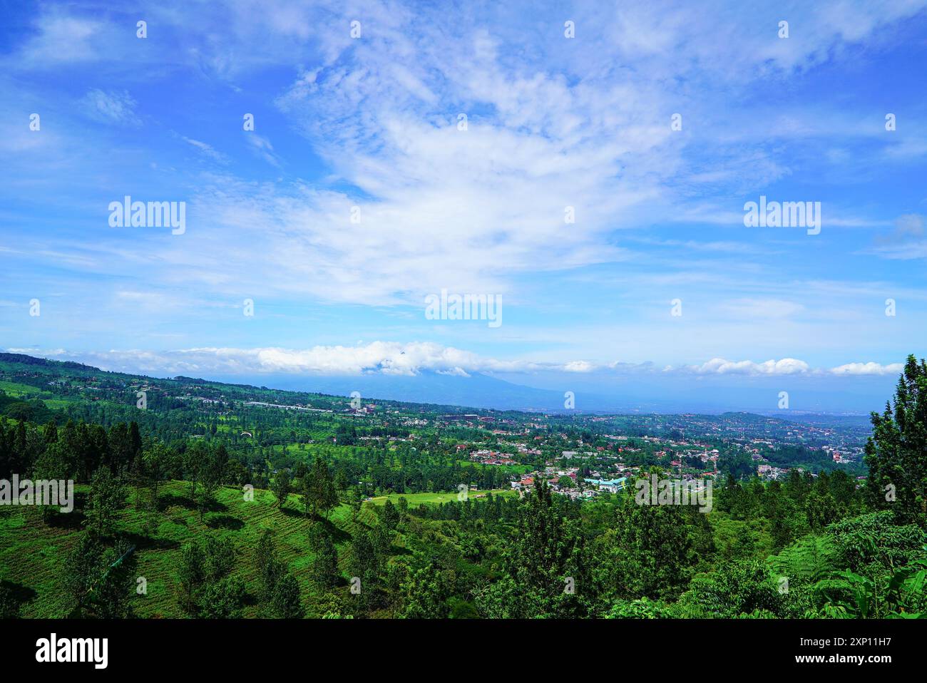 Indonesia, Puncak Bogor, West Java Stock Photo - Alamy