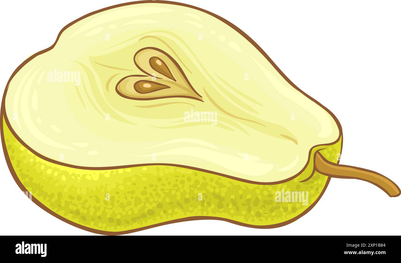 Pear Fruit Colored Detailed Illustration Stock Vector Image & Art - Alamy