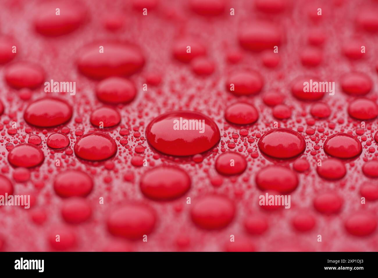 Closeup waterdrops on red ceramic coated paint surface Stock Photo
