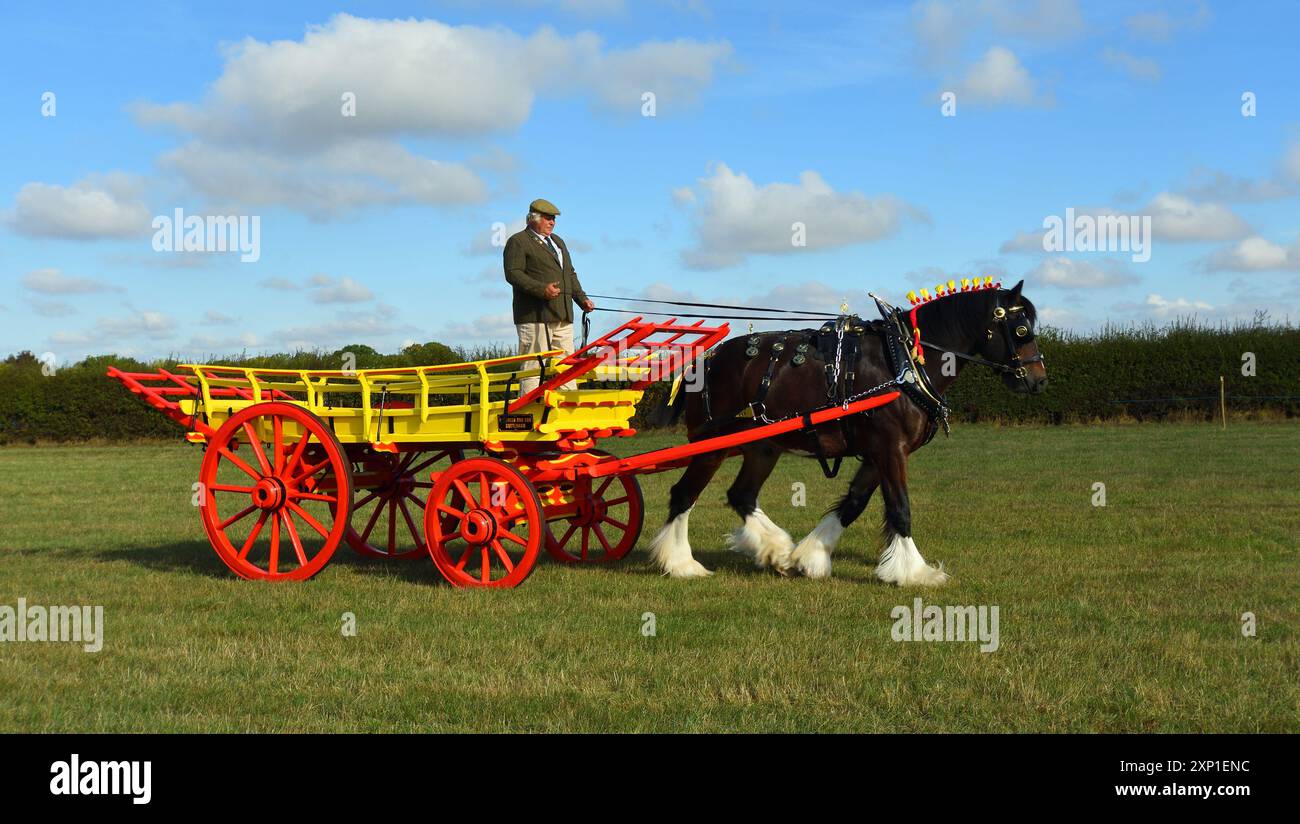 Vintage Hay cart being pulled by Shire Horse. Stock Photo