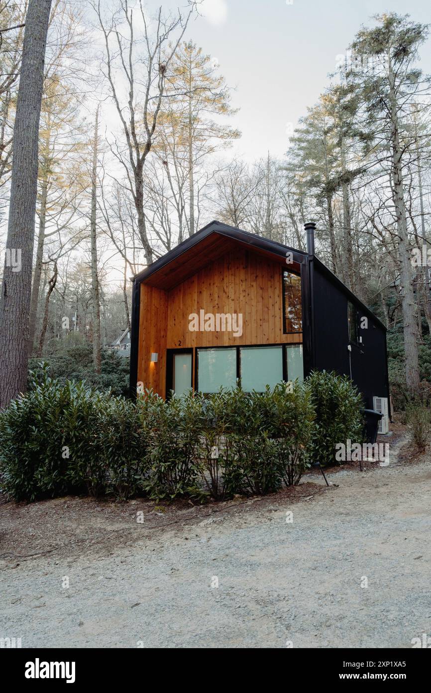 A vertical shot of a modern cabin in the woods surrounded by tall trees ...