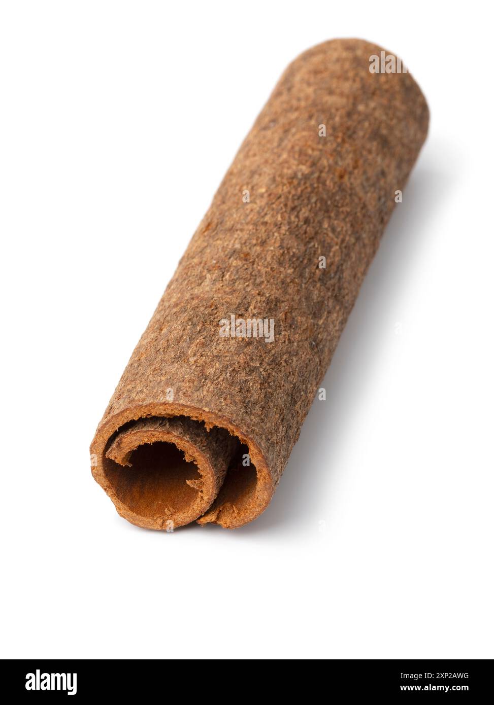 Single piece of dried Chinese cassia cinnamon close up isolated on white background Stock Photo