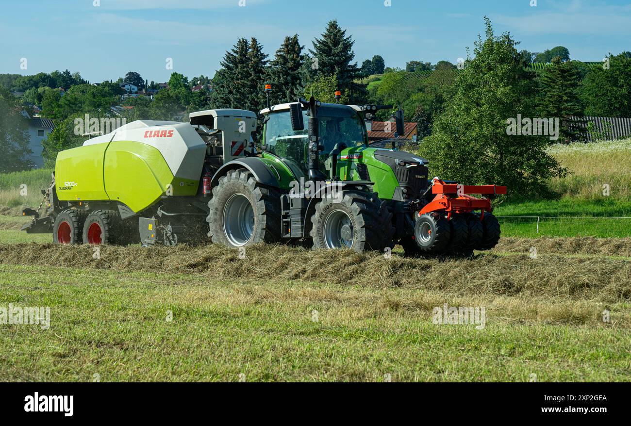 Hay baling, tractor collecting and making hay on a farm Stock Photo