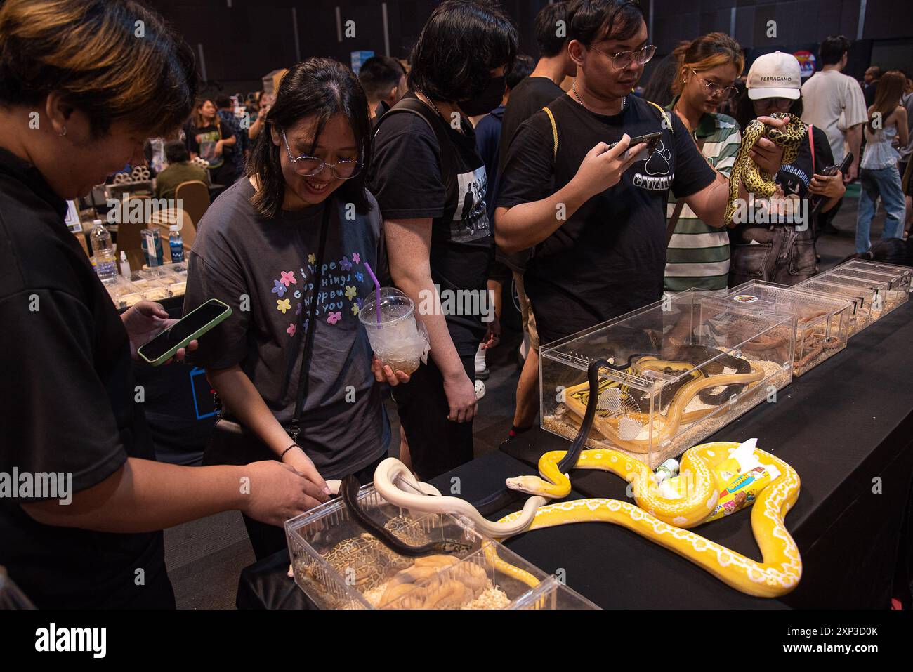 Bangkok, Thailand. 03rd Aug, 2024. Visitors look at Ball Python snakes ...