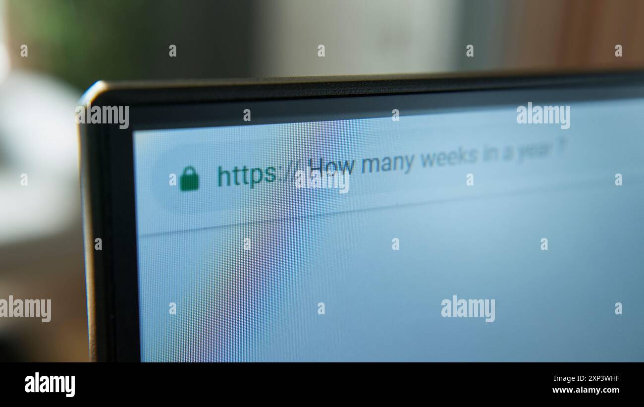 Close-up shot of a computer screen displaying the search query